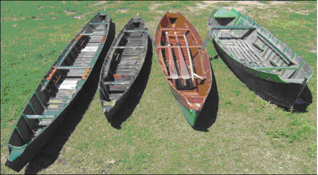 Ingrandisci la foto: le barche usate nelle Valli di Comacchio