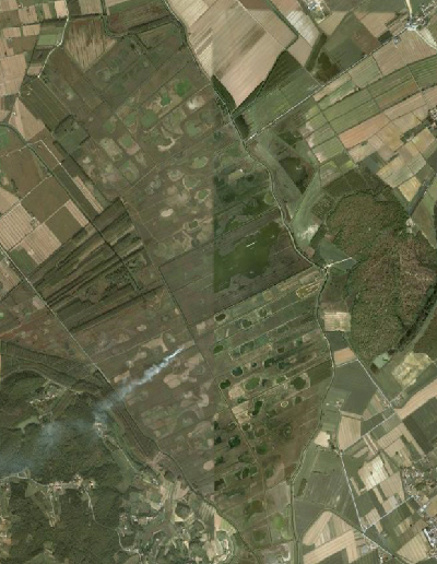 Ingrandisci la foto satellitare del Padule di Fucecchio