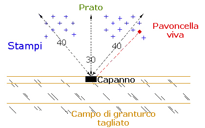 Lo schema del gioco