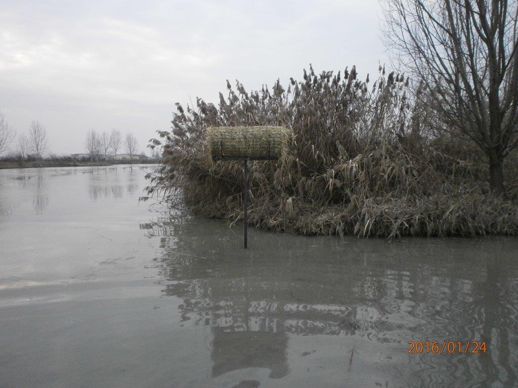 Ingrandisci la foto