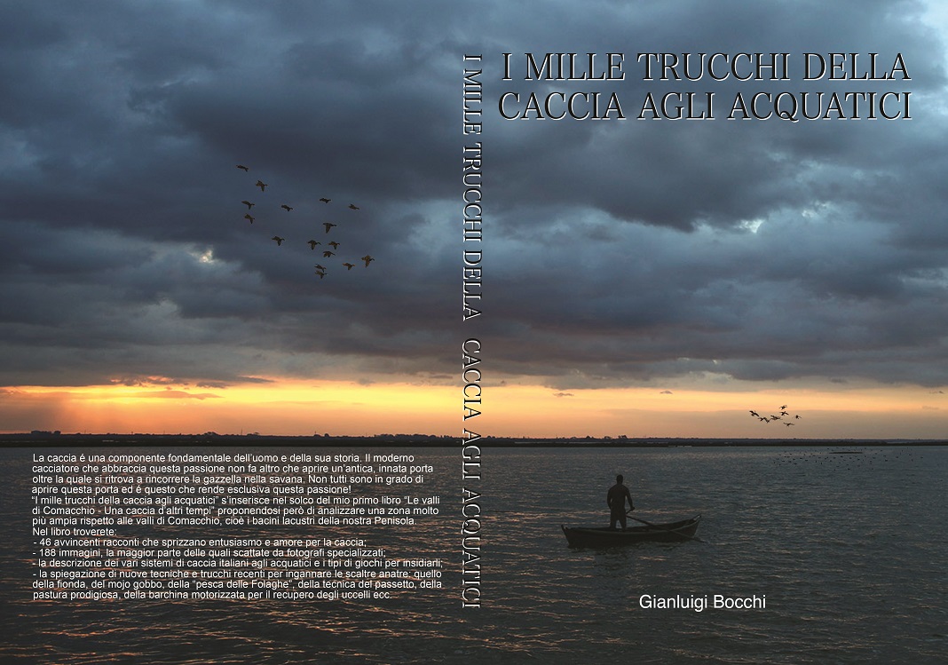 Clicca per ingrandire la copertina del libro di Gigi Bocchi