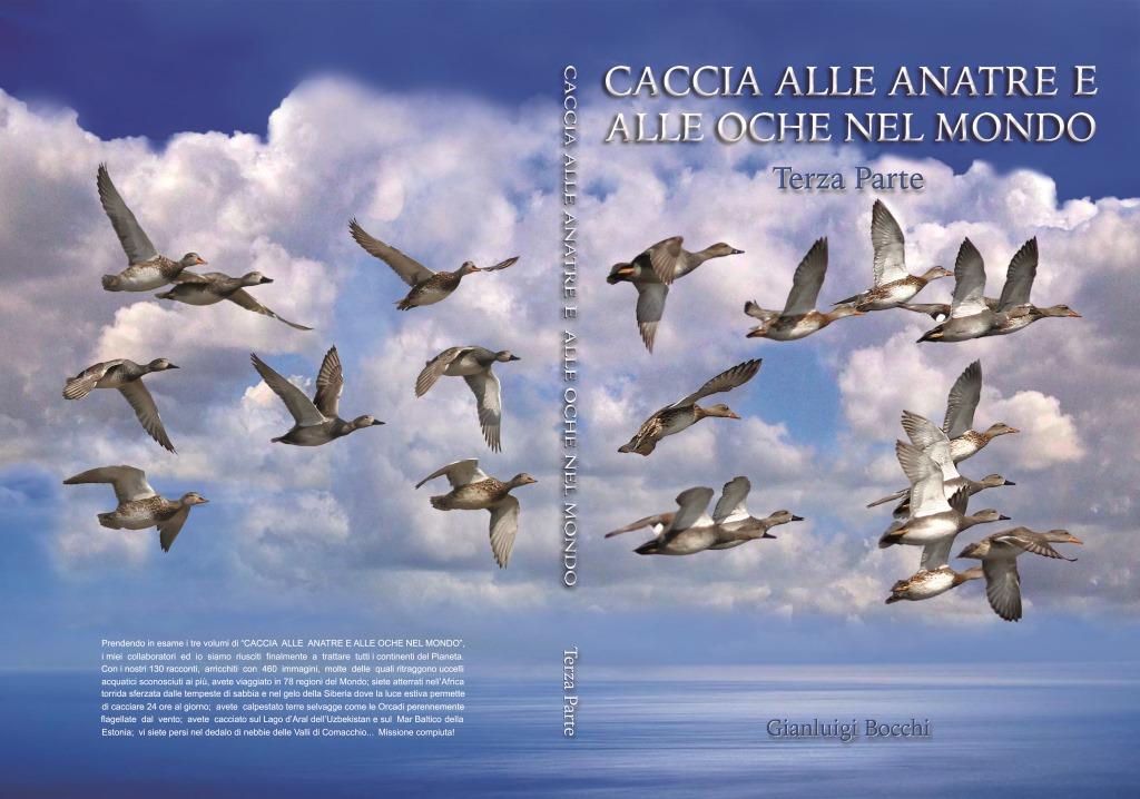Clicca per ingrandire la copertina del libro di Gigi Bocchi